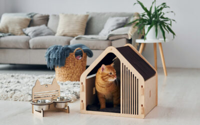 Pet Products Pavilion Added to The Inspired Home Show 2025